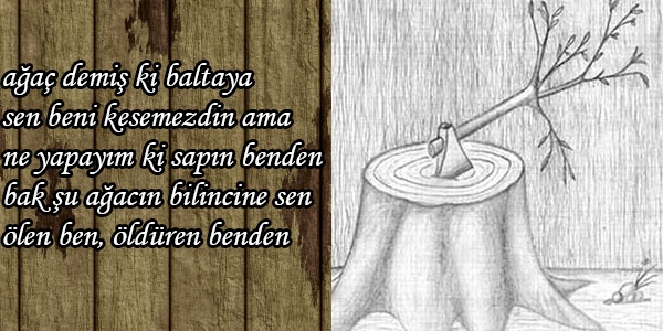 AĞACI KESEN BALTANIN SAPI DA AĞAÇTANDIR!…