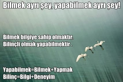 NE İSTEDİĞİMİZİ BİLELİM